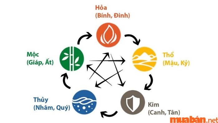 Khám phá mối quan hệ giữa Thiên Can và Địa Chi trong Ngũ hành