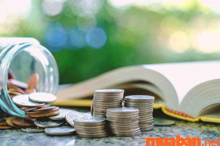 Quản lý tài chính là gì?