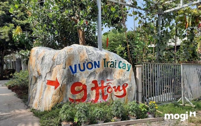 vườn trái cây 9 Hồng