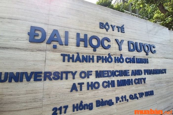 Đại học Y Dược TP.HCM là một trong những trường đào tạo ngành Therapist uy tín và chất lượng hàng đầu.