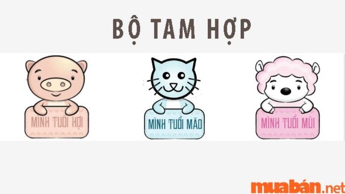 tam hợp tuổi Mùi có ý nghĩa gì trong phong thủy