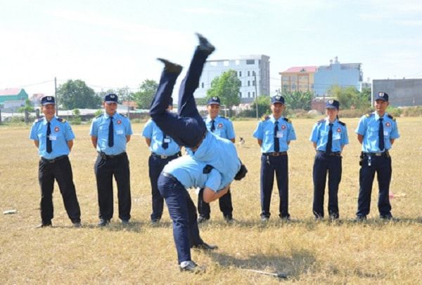 Vườn mận (roi) tươi ngon, quả mọng nước, màu sắc bắt mắt.