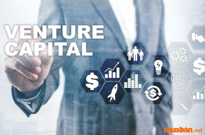 Vòng Series A – Cơ hội đầu tư quan trọng cho Startup