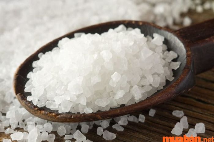 Muối là phương pháp diệt mối hiệu quả, dễ thực hiện và an toàn cho gia đình