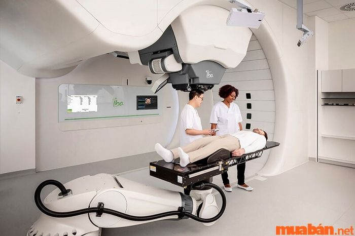 Chuyên gia vật lý trị liệu đảm nhận nhiều vai trò khác nhau trong quá trình điều trị.