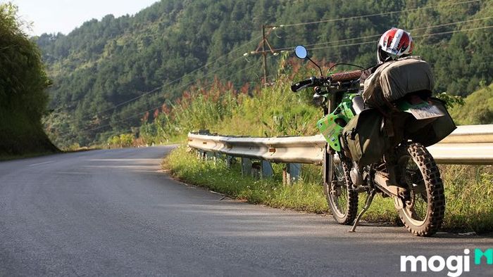 Đồng sen Tháp Mười