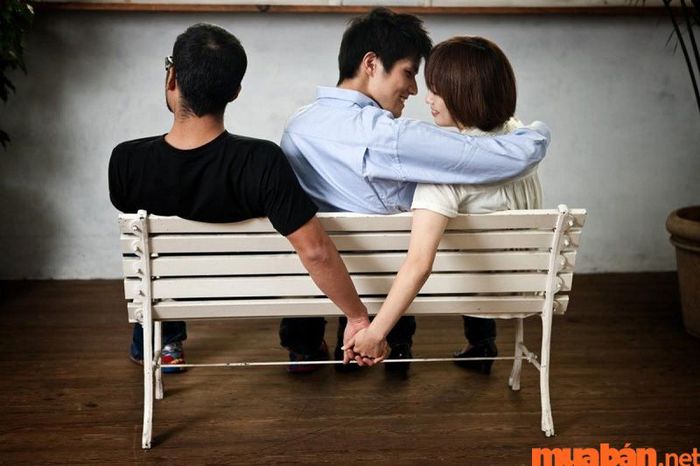 Đa tình là gì? Đa tình có thể hiểu là khả năng có nhiều cảm xúc đối với nhiều người cùng lúc.