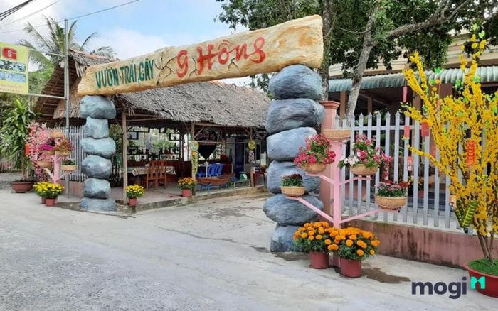 vườn trái cây 9 Hồng