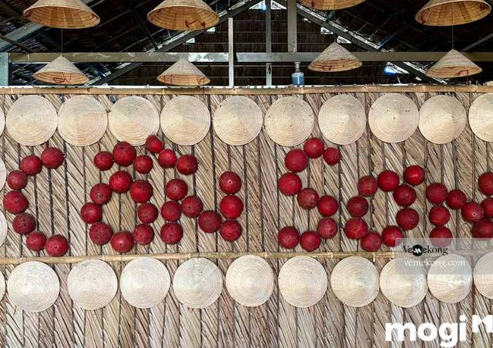 Vườn trái cây Cồn Sơn là điểm đến lý tưởng để khám phá vẻ đẹp tự nhiên và tận hưởng không khí trong lành.