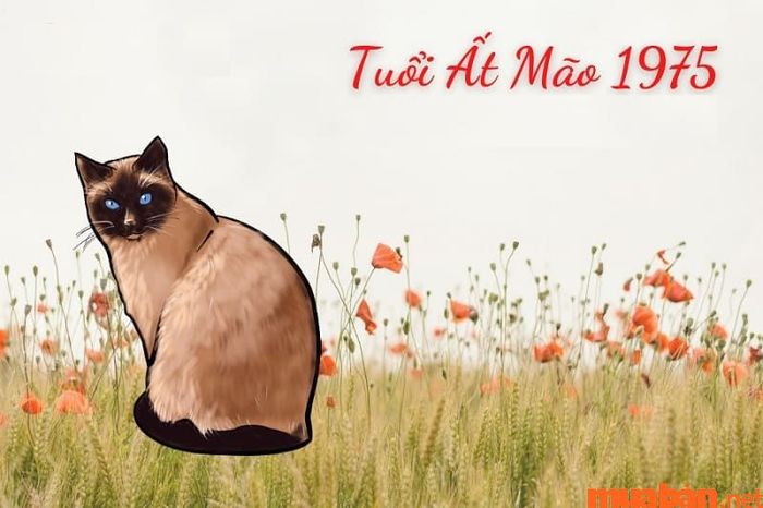 Người sinh năm 1975 thuộc mệnh gì?