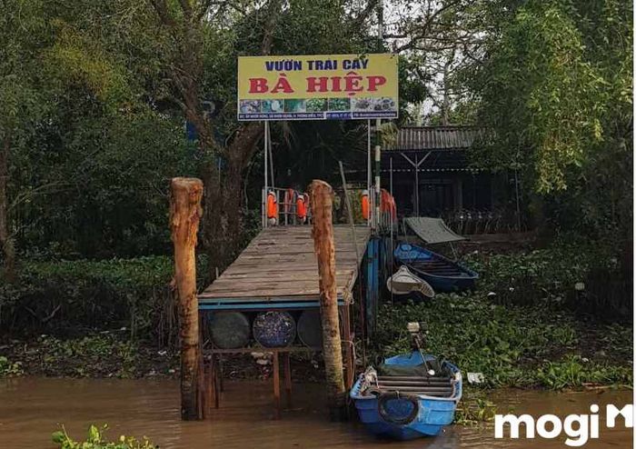 Vườn trái cây Bà Hiệp nổi bật với cảnh quan thiên nhiên tuyệt đẹp, thu hút du khách đến khám phá.