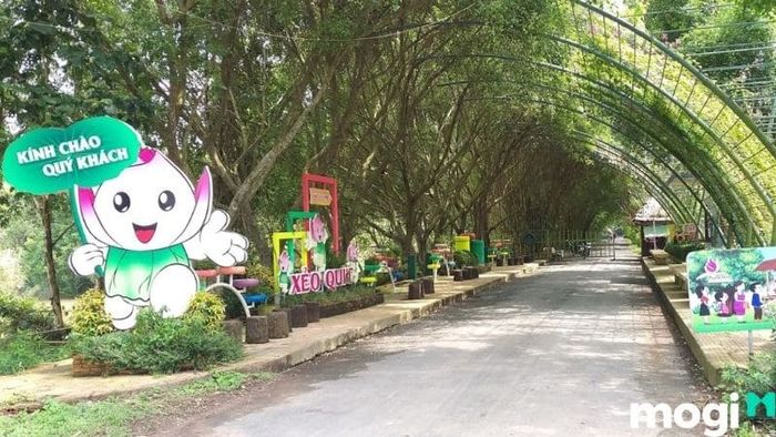 đồng sen tháp mười