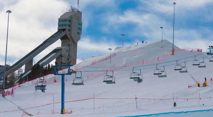 Calgary became the first Canadian city to host the Winter Olympics.