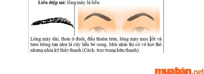 Đàn ông có dáng mày lá liễu nữ tính thường sẽ gặp khó khăn trong các mối quan hệ tình cảm.