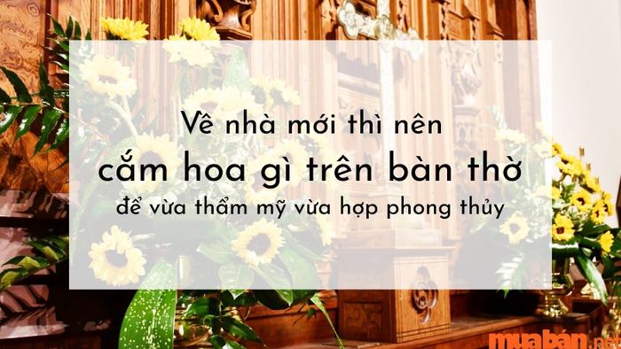 Chuyển đến nhà mới, nên chọn hoa nào để cắm?