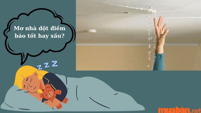 Giấc mơ thấy nhà bị dột có phải là điềm tốt hay xấu?