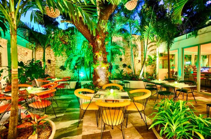 Step into the heart of nature at Carmen's Courtyard Patio.