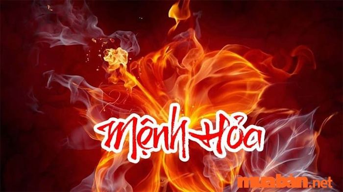 Người mệnh Hỏa sẽ nhận được một nguồn năng lượng mạnh mẽ khi sống trong nhà hướng Đông Nam, giúp họ thêm phần nhiệt huyết và quyết tâm.