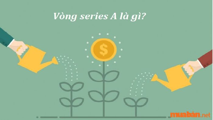 Vòng Series A là gì và tại sao nó lại quan trọng trong chiến lược gọi vốn của Startup?