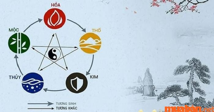 Bạn có thể tìm hiểu về mệnh và cung của người sinh năm 1975 theo quy luật Ngũ hành phong thủy.