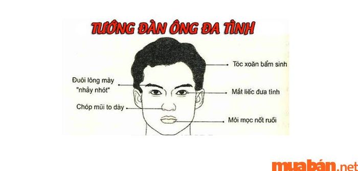 Khám phá đa tình qua những dấu hiệu nổi bật trong nhân tướng học. Làm thế nào để nhận diện một người đa tình qua các đặc điểm trên cơ thể?