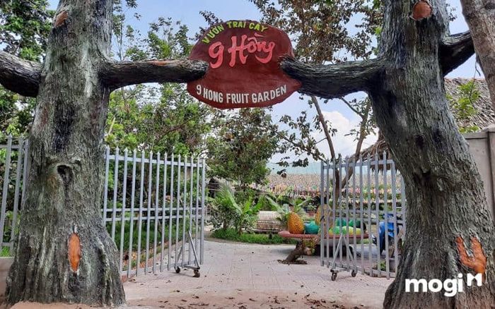 vườn trái cây 9 Hồng
