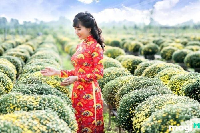 Tháng 12 âm lịch là khoảng thời gian đẹp nhất để du lịch Sa Đéc và tham quan làng hoa.