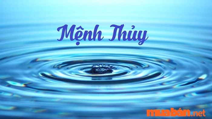 Người mệnh Thủy khi ở trong nhà hướng Đông Nam sẽ cảm nhận được sự gia tăng nguồn sinh khí, mang lại sức khỏe dồi dào và cuộc sống thuận lợi hơn.