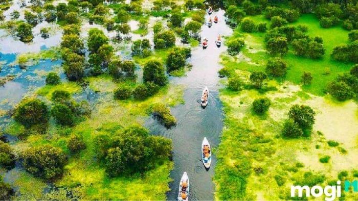 đồng sen tháp mười