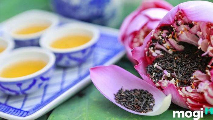 Đồng sen Tháp Mười