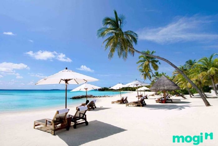 Đến bãi biển Non Nước, bạn sẽ được hòa mình vào thiên nhiên yên bình và tươi đẹp.