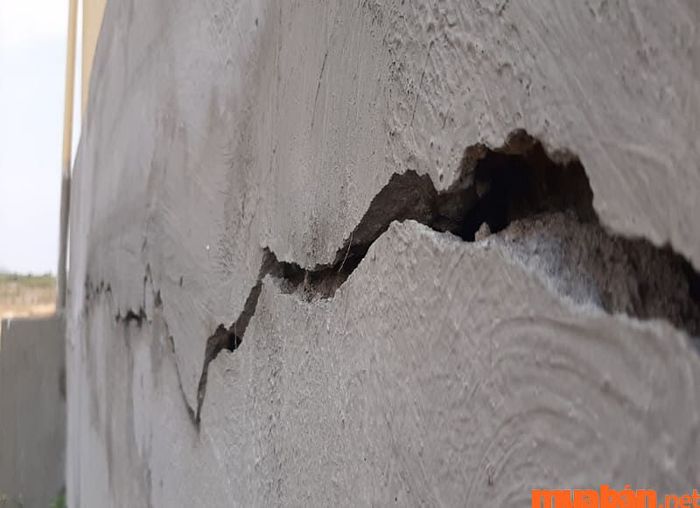Vết nứt trong cấu trúc nhà chính là nguyên nhân khiến mối có thể xâm nhập vào nhà