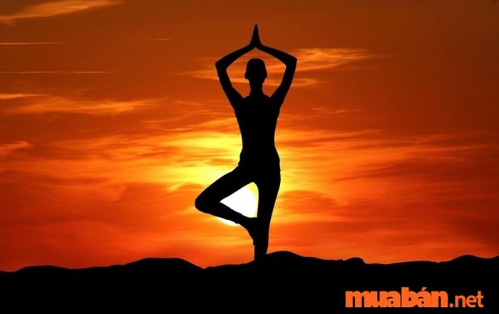 Nhà hướng Đông Nam thịnh vượng giúp gia chủ có sức khỏe dồi dào, tinh thần minh mẫn