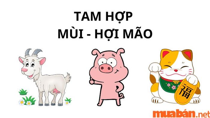 tam hợp tuổi Mùi có ý nghĩa gì