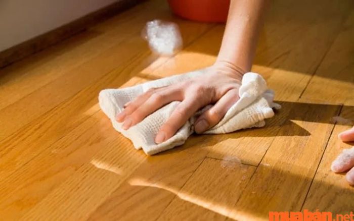 Môi trường ẩm ướt trong ngôi nhà chính là một trong những nguyên nhân khiến mối xuất hiện