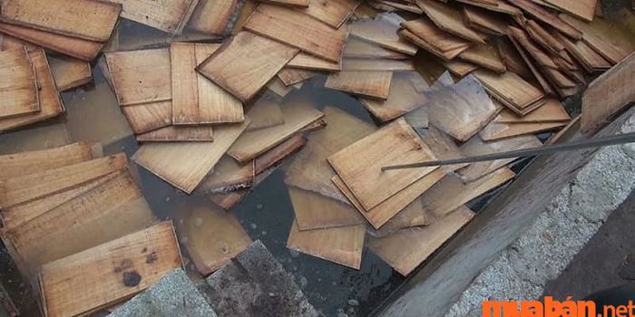 Ngâm gỗ trong nước là một phương pháp diệt mối được ông bà ta áp dụng từ lâu