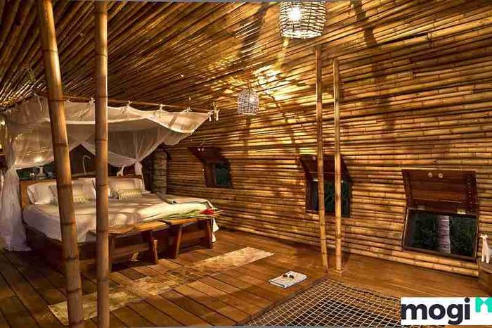 Nhà tre lớn nhất Việt Nam