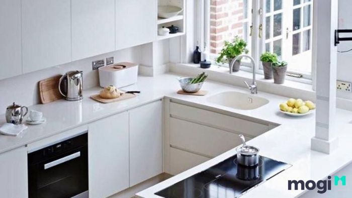 Lựa chọn ánh sáng, màu sắc, và nội thất phù hợp với phong thủy tuổi Kỷ Mùi