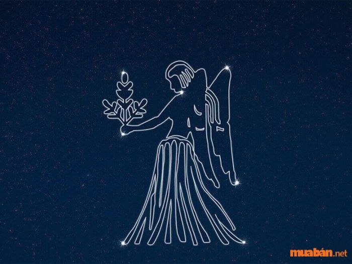 Top 12: Xử Nữ (23/8 đến 22/9)