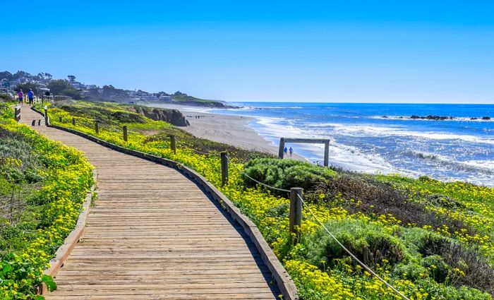 A picturesque boardwalk stretches along Moonstone Beach.