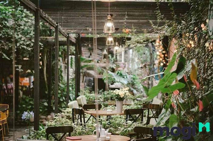 Phong cách Rustic là sự lựa chọn lý tưởng cho quán cafe có sân vườn, mang lại không gian gần gũi với thiên nhiên và đậm chất mộc mạc.