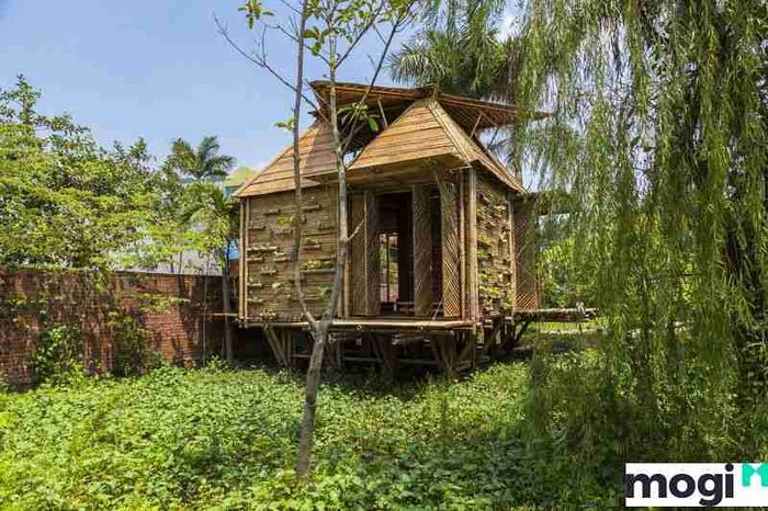 Nhà tre mang đến một không gian mới lạ và tươi mới cho ngôi nhà của bạn.