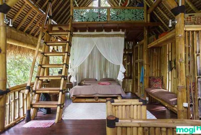 Nhà tre sở hữu nhiều ưu điểm và sức hấp dẫn đặc biệt, khiến người ta khó lòng không bị thu hút.