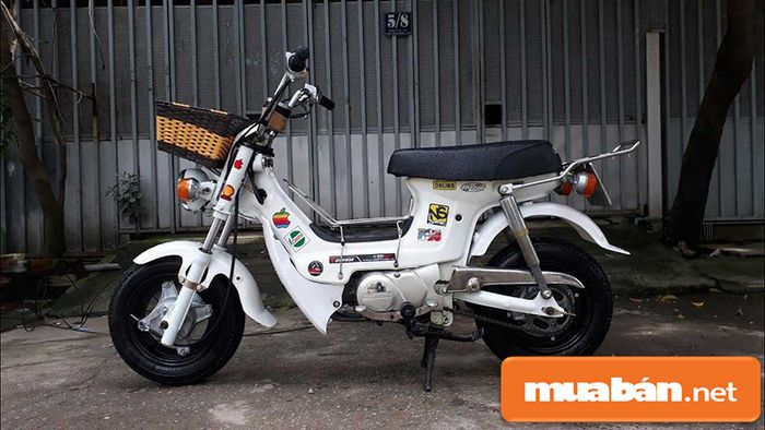 xe máy cũ trên Chợ Tốt
