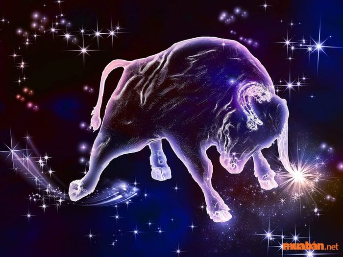 Top 10: Kim Ngưu (21/4 đến 20/5)