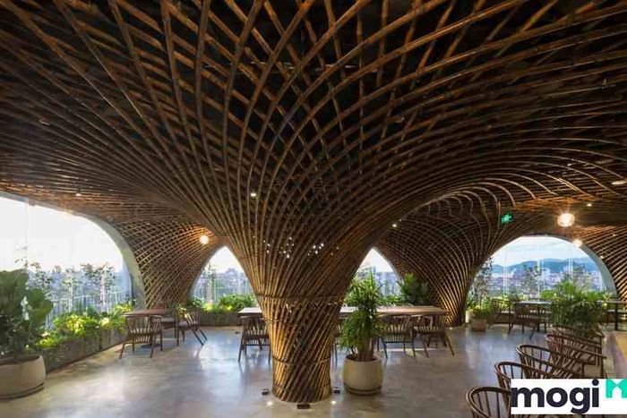 Quán cà phê tre trúc với không gian thoáng đãng, hiện đại và gần gũi với thiên nhiên