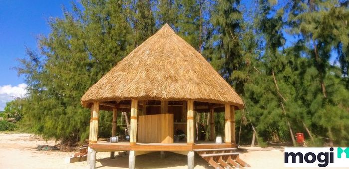 Căn hộ mini bằng tre trúc với thiết kế độc đáo và sáng tạo