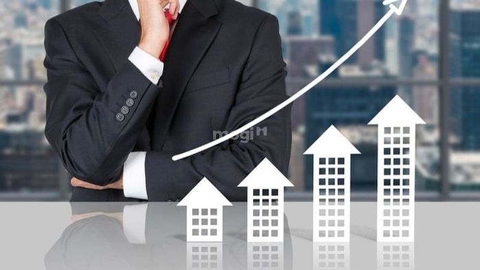 Xu hướng đầu tư năm 2024 – 2025
