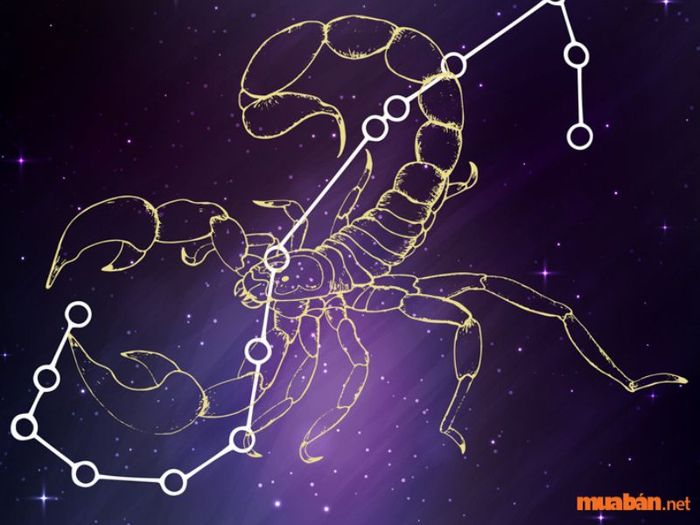 Top 11: Bọ Cạp (24/10 đến 22/11)