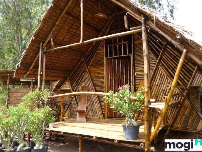 Nhà tre mang vẻ đẹp đơn sơ, giản dị và gần gũi với thiên nhiên